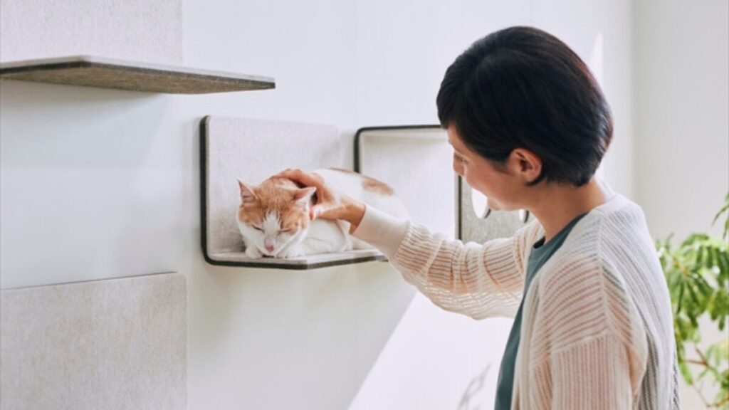 にゃんぺきでくつろぐ猫を撫でる飼い主の女性