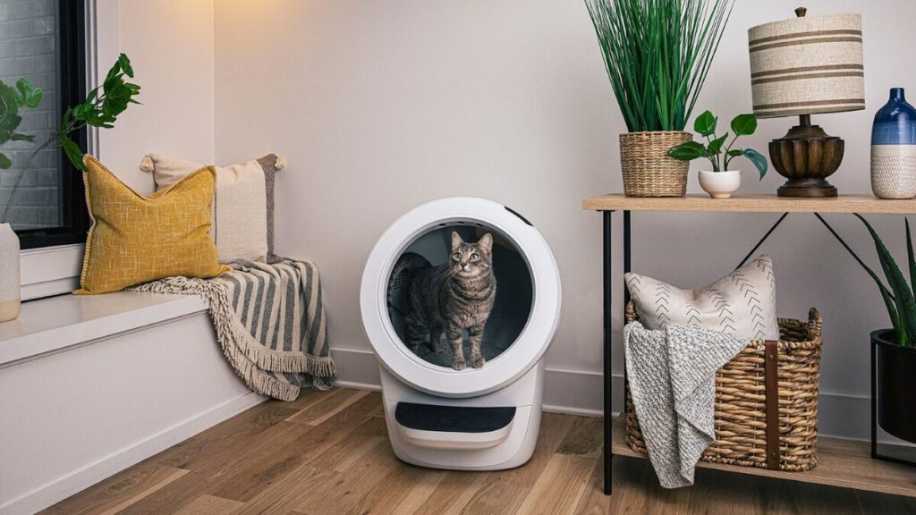 Litter-Robot 4に入っているトラ猫の様子